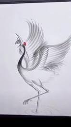 drawing pencil drawing