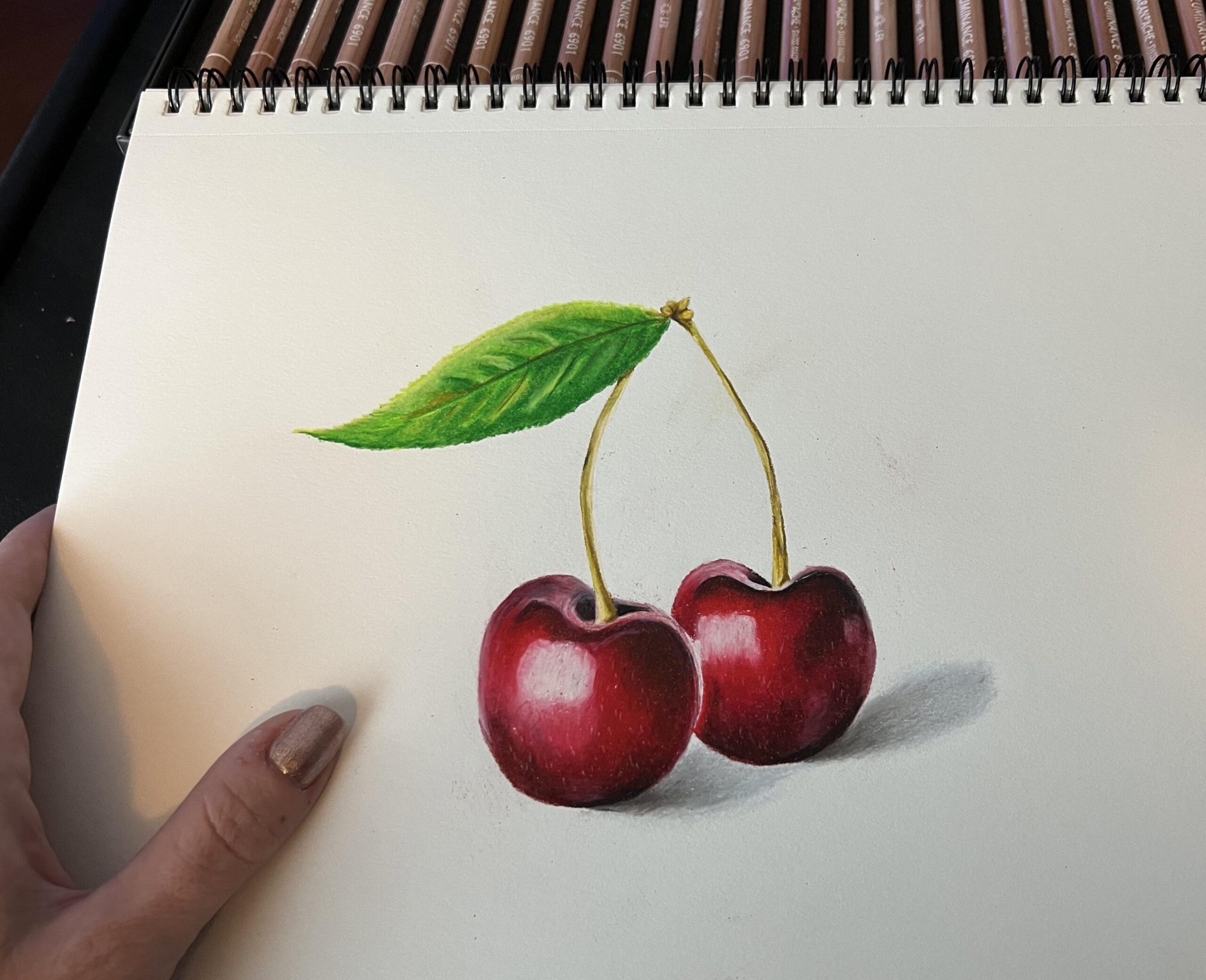 color pencil drawing