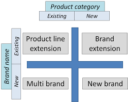 brand development
