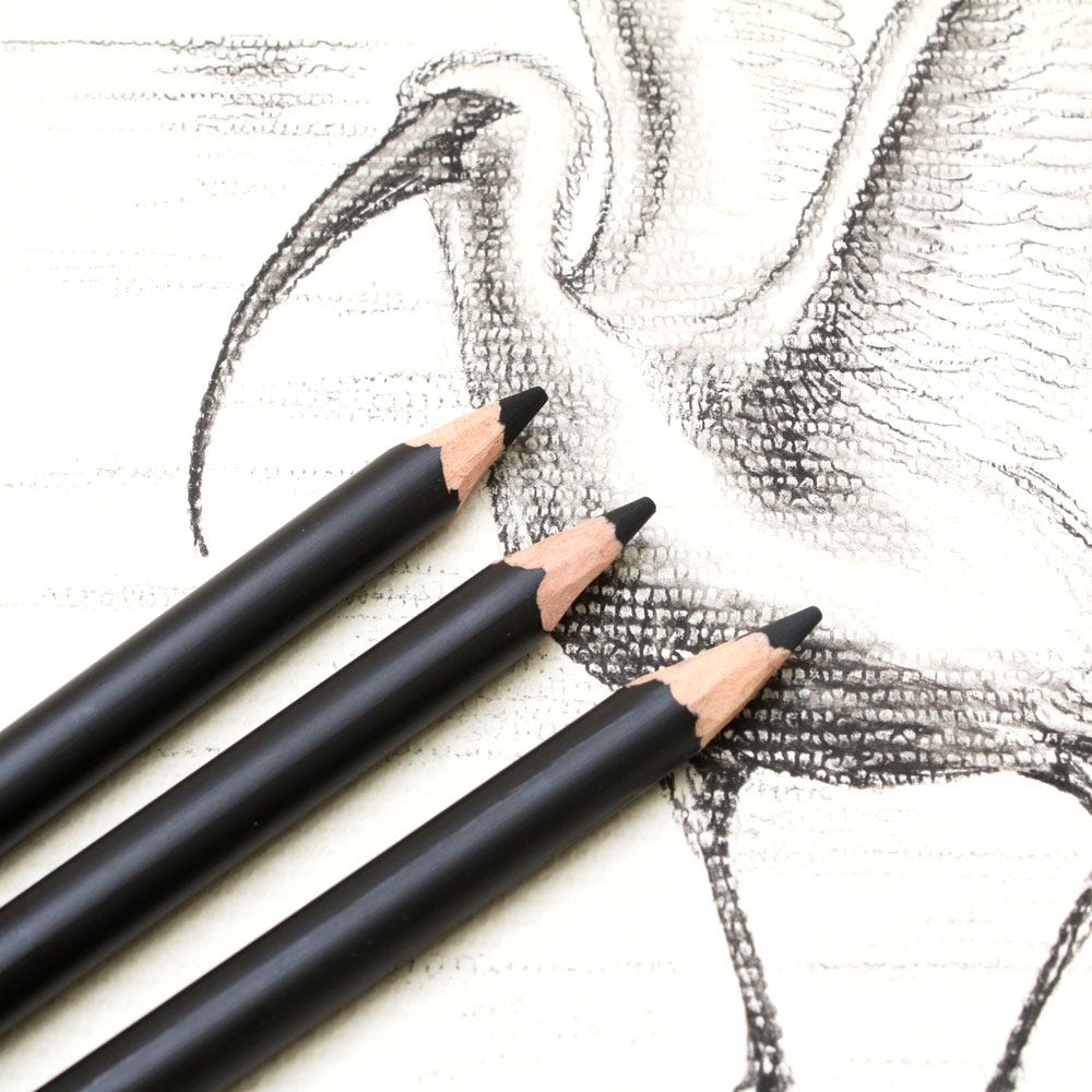charcoal pencil sketch